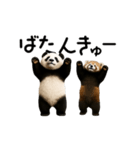 動く！パンダ＆レッサーパンダ（個別スタンプ：14）