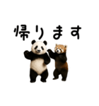 動く！パンダ＆レッサーパンダ（個別スタンプ：21）