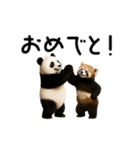 動く！パンダ＆レッサーパンダ（個別スタンプ：24）