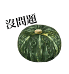 国産かぼちゃ 【台湾語のみ】（個別スタンプ：4）