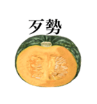 国産かぼちゃ 【台湾語のみ】（個別スタンプ：6）