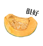 国産かぼちゃ 【台湾語のみ】（個別スタンプ：13）