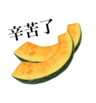 国産かぼちゃ 【台湾語のみ】（個別スタンプ：14）