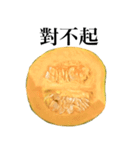 国産かぼちゃ 【台湾語のみ】（個別スタンプ：15）