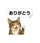 大人が使える 日常使いの猫スタンプ（個別スタンプ：1）