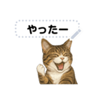 大人が使える 日常使いの猫スタンプ（個別スタンプ：2）