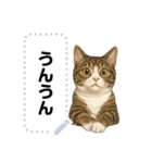 大人が使える 日常使いの猫スタンプ（個別スタンプ：5）