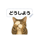大人が使える 日常使いの猫スタンプ（個別スタンプ：9）