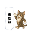 大人が使える 日常使いの猫スタンプ（個別スタンプ：12）