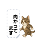 大人が使える 日常使いの猫スタンプ（個別スタンプ：14）