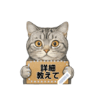大人が使える 日常使いの猫スタンプ（個別スタンプ：15）