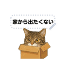 大人が使える 日常使いの猫スタンプ（個別スタンプ：19）