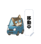 大人が使える 日常使いの猫スタンプ（個別スタンプ：24）