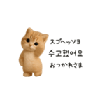 ふわふわ子猫のまいにち韓国語♡（個別スタンプ：5）