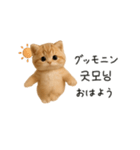 ふわふわ子猫のまいにち韓国語♡（個別スタンプ：9）