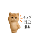 ふわふわ子猫のまいにち韓国語♡（個別スタンプ：11）