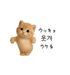 ふわふわ子猫のまいにち韓国語♡（個別スタンプ：14）