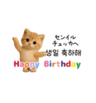 ふわふわ子猫のまいにち韓国語♡（個別スタンプ：17）