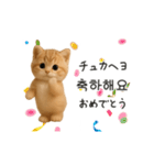ふわふわ子猫のまいにち韓国語♡（個別スタンプ：18）
