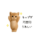 ふわふわ子猫のまいにち韓国語♡（個別スタンプ：19）