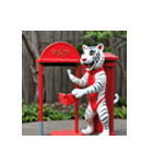 ホワイトタイガーの新日常15（個別スタンプ：15）