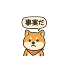 正論を言う柴犬（個別スタンプ：1）