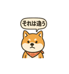 正論を言う柴犬（個別スタンプ：3）