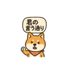 正論を言う柴犬（個別スタンプ：4）