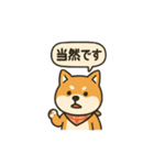 正論を言う柴犬（個別スタンプ：12）