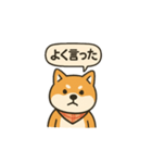 正論を言う柴犬（個別スタンプ：13）