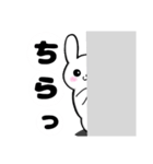 【敬語】日常で使える♪白うさぎ（個別スタンプ：15）