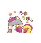 しばワンコの秋うららスタンプ（個別スタンプ：15）