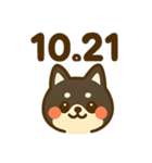 10月21日お誕生日 まゆげときなこ（個別スタンプ：1）