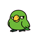 おしゃべりオウムの日常@SFW（個別スタンプ：10）