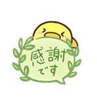まるピヨ【吹き出し】（個別スタンプ：25）