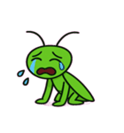 まじめなカマキリの日常@SFW（個別スタンプ：16）
