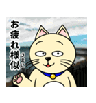 人間味溢れるねこ2（北海道風味）（個別スタンプ：1）