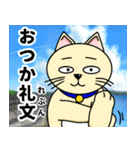 人間味溢れるねこ2（北海道風味）（個別スタンプ：2）