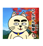 人間味溢れるねこ2（北海道風味）（個別スタンプ：5）