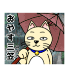 人間味溢れるねこ2（北海道風味）（個別スタンプ：6）