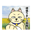 人間味溢れるねこ2（北海道風味）（個別スタンプ：12）