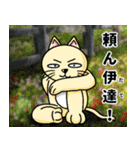 人間味溢れるねこ2（北海道風味）（個別スタンプ：13）