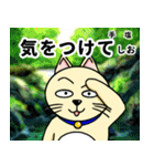 人間味溢れるねこ2（北海道風味）（個別スタンプ：15）