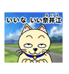 人間味溢れるねこ2（北海道風味）（個別スタンプ：17）