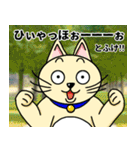 人間味溢れるねこ2（北海道風味）（個別スタンプ：18）