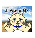 人間味溢れるねこ2（北海道風味）（個別スタンプ：19）