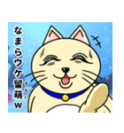 人間味溢れるねこ2（北海道風味）（個別スタンプ：21）