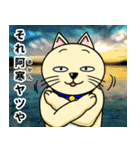 人間味溢れるねこ2（北海道風味）（個別スタンプ：23）