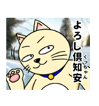 人間味溢れるねこ2（北海道風味）（個別スタンプ：26）
