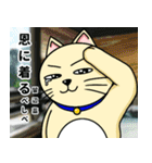 人間味溢れるねこ2（北海道風味）（個別スタンプ：28）